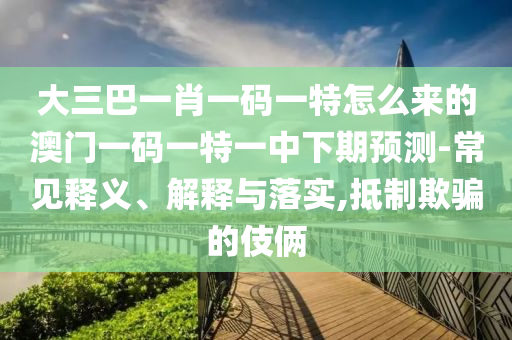 大三巴一肖一碼一特怎么來的澳門一碼一特一中下期預(yù)測-常見釋義、解釋與落實,抵制欺騙的伎倆