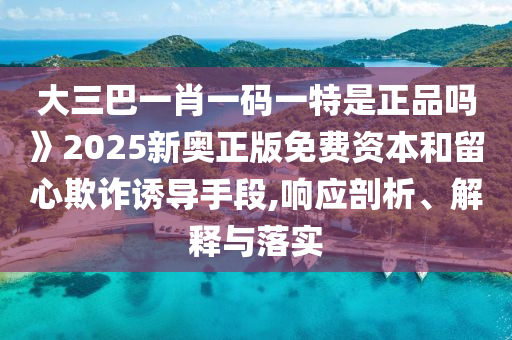 大三巴一肖一碼一特是正品嗎》2025新奧正版免費資本和留心欺詐誘導(dǎo)手段,響應(yīng)剖析、解釋與落實