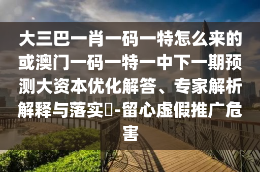 大三巴一肖一碼一特怎么來的或澳門一碼一特一中下一期預(yù)測大資本優(yōu)化解答、專家解析解釋與落實(shí)?-留心虛假推廣危害