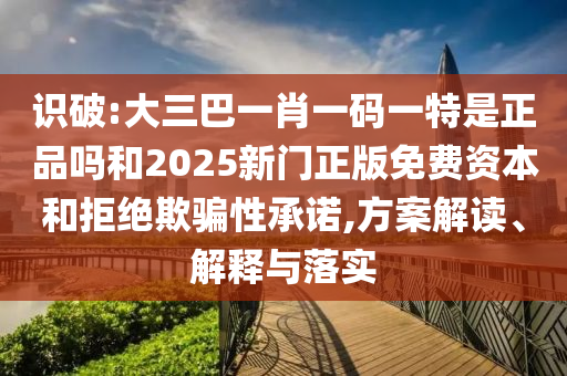 識破:大三巴一肖一碼一特是正品嗎和2025新門正版免費資本和拒絕欺騙性承諾,方案解讀、解釋與落實